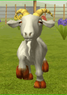 Dancing Goat