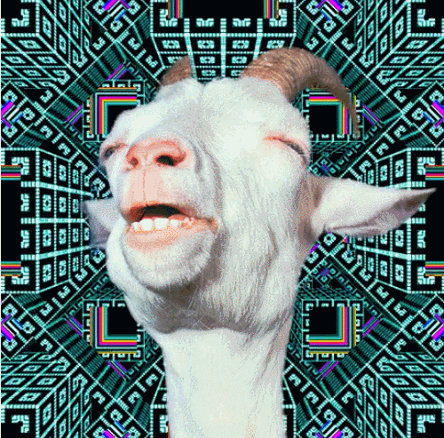 Goat